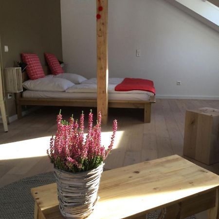 Erikas Haus Διαμέρισμα Münstertal Εξωτερικό φωτογραφία