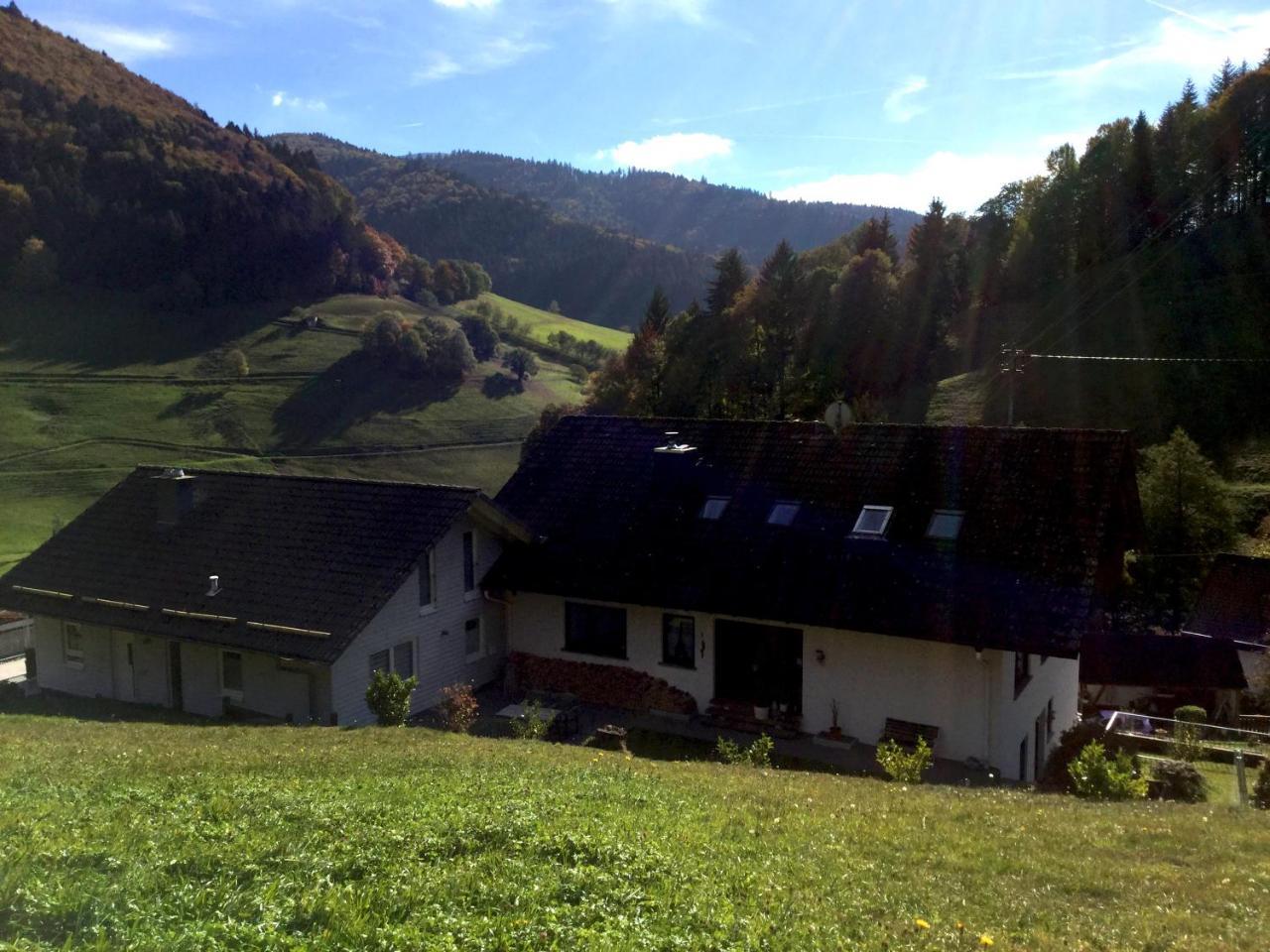 Erikas Haus Διαμέρισμα Münstertal Εξωτερικό φωτογραφία
