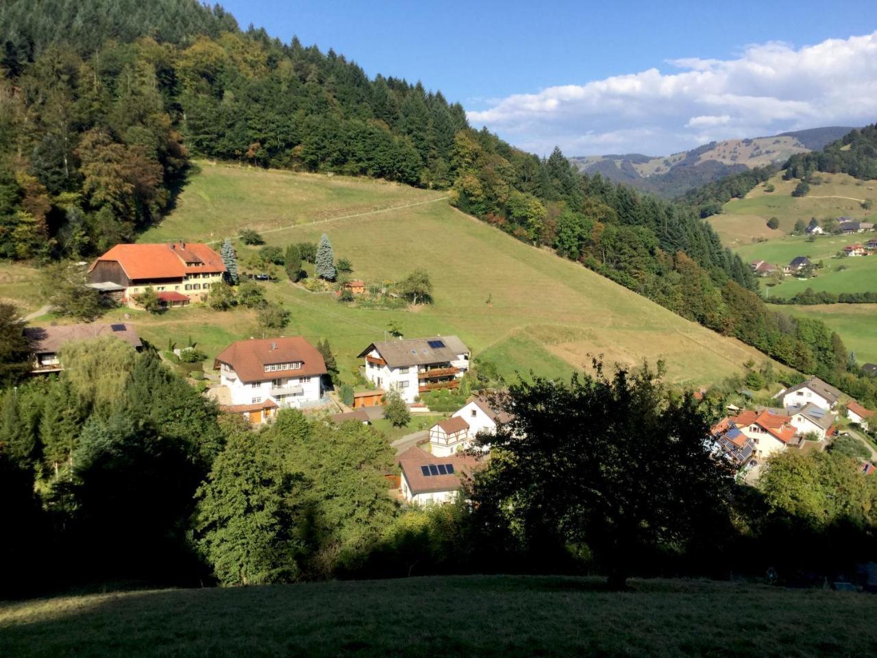 Erikas Haus Διαμέρισμα Münstertal Εξωτερικό φωτογραφία