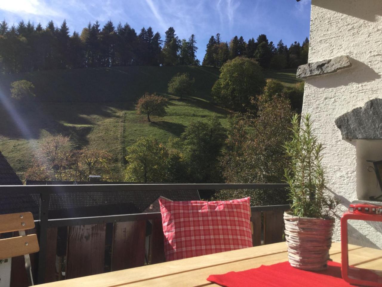 Erikas Haus Διαμέρισμα Münstertal Εξωτερικό φωτογραφία