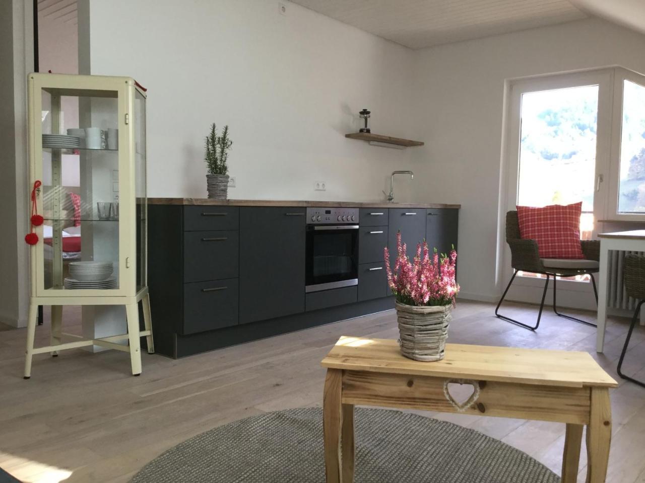 Erikas Haus Διαμέρισμα Münstertal Εξωτερικό φωτογραφία