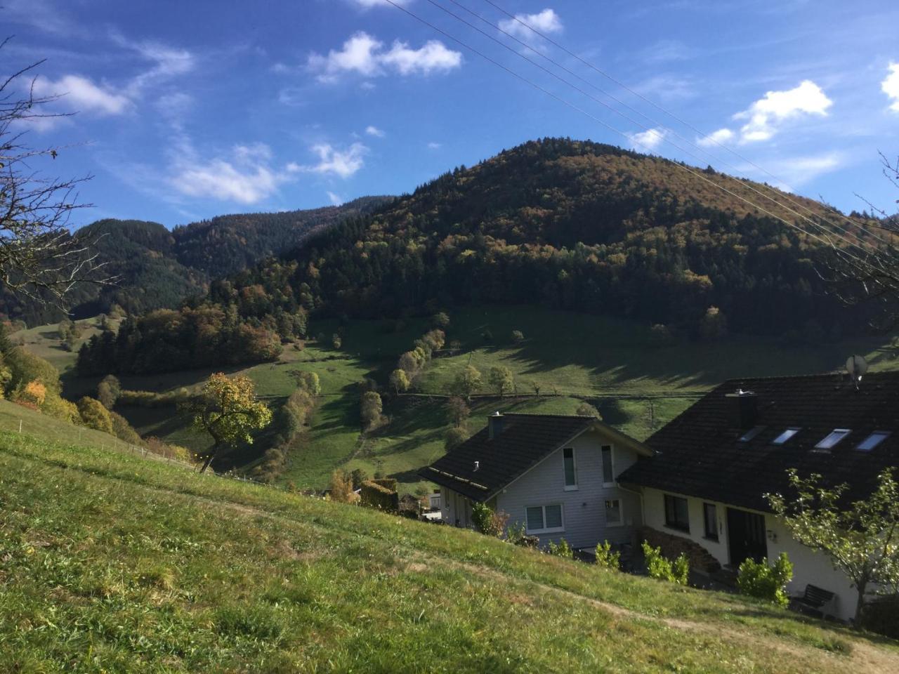 Erikas Haus Διαμέρισμα Münstertal Εξωτερικό φωτογραφία