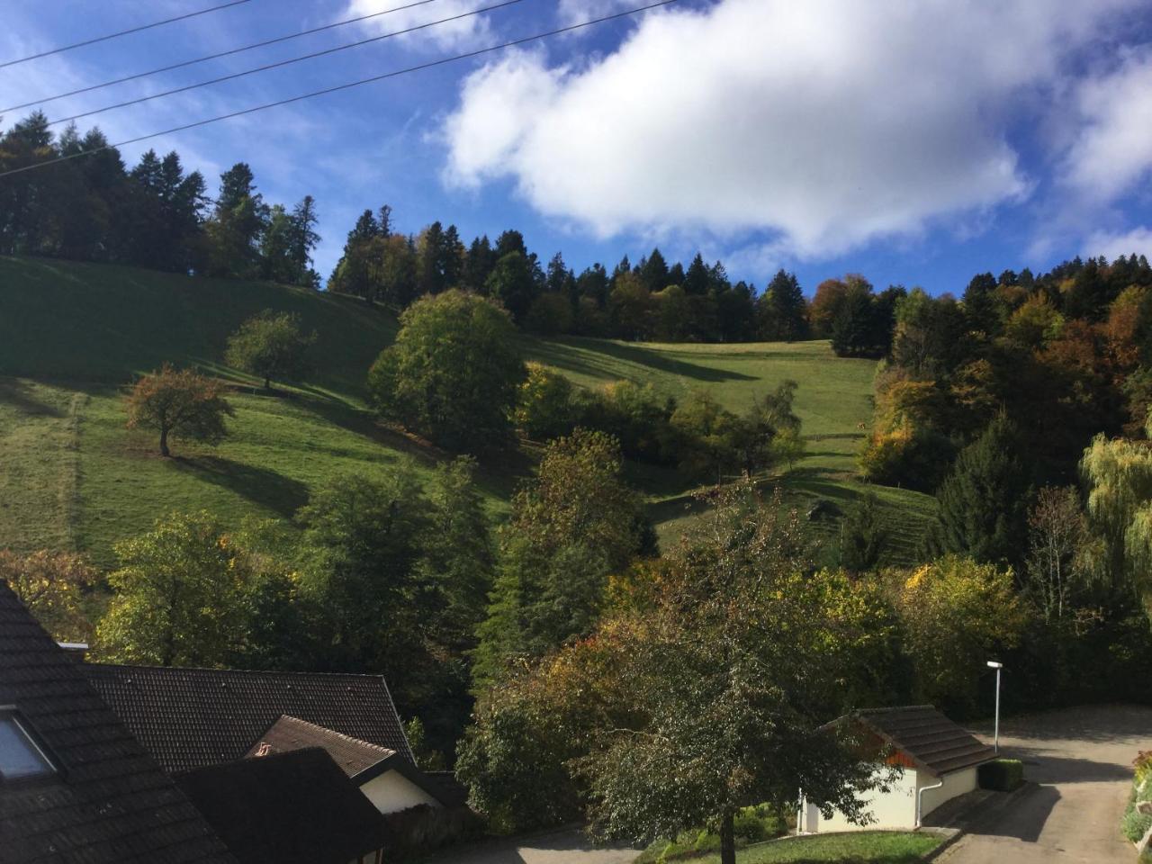 Erikas Haus Διαμέρισμα Münstertal Εξωτερικό φωτογραφία