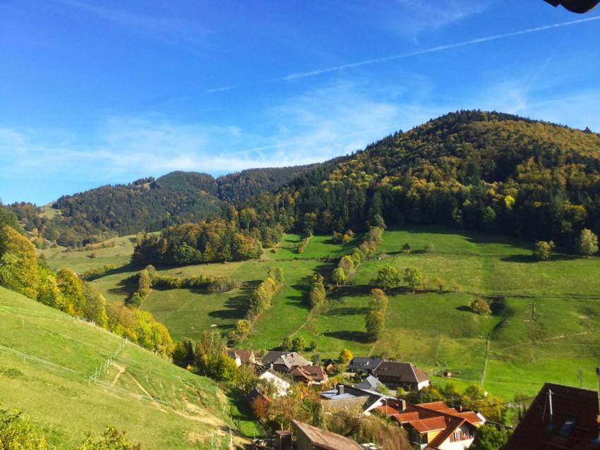 Erikas Haus Διαμέρισμα Münstertal Εξωτερικό φωτογραφία