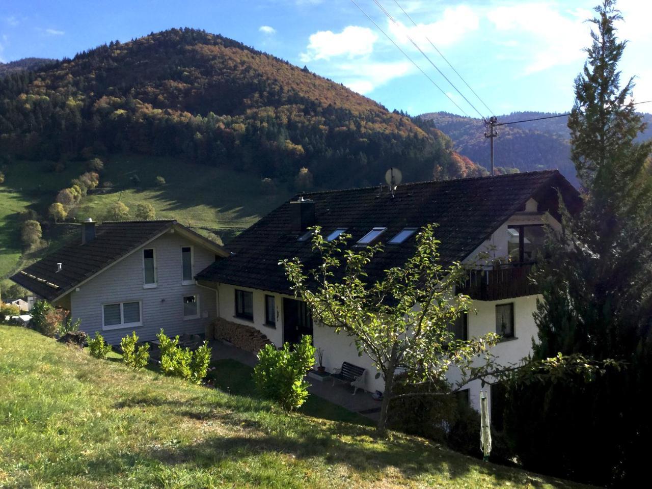 Erikas Haus Διαμέρισμα Münstertal Εξωτερικό φωτογραφία