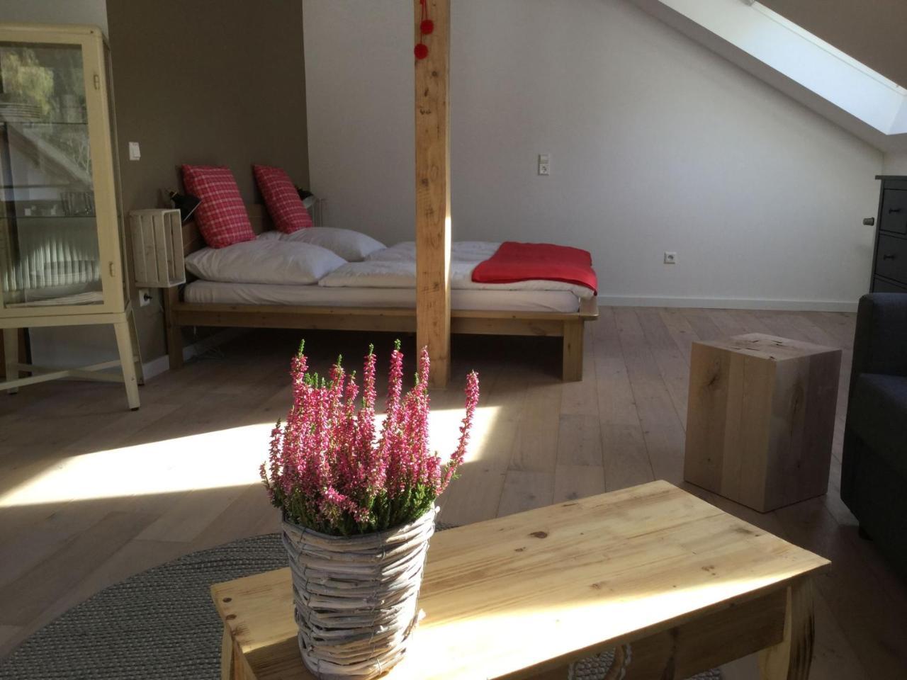 Erikas Haus Διαμέρισμα Münstertal Εξωτερικό φωτογραφία