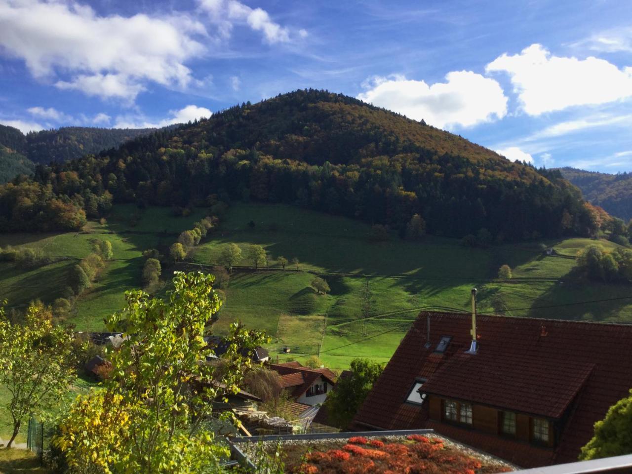 Erikas Haus Διαμέρισμα Münstertal Εξωτερικό φωτογραφία